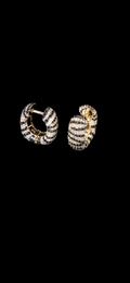 Untamed 2025 earrings